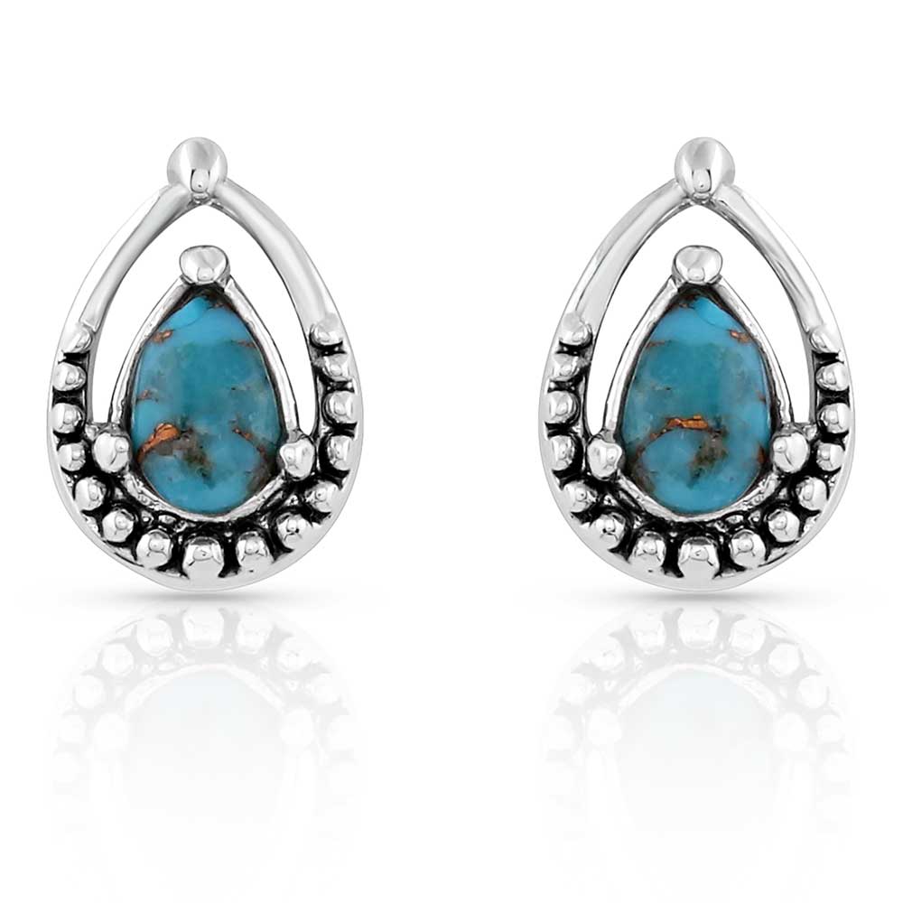 Touch of Turquoise Teardrop Earrings