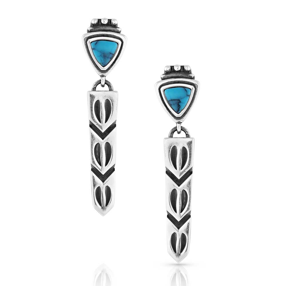 Tracker's Delight Turquoise Earrings