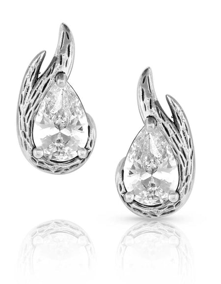 Frozen in Time Post Earrings