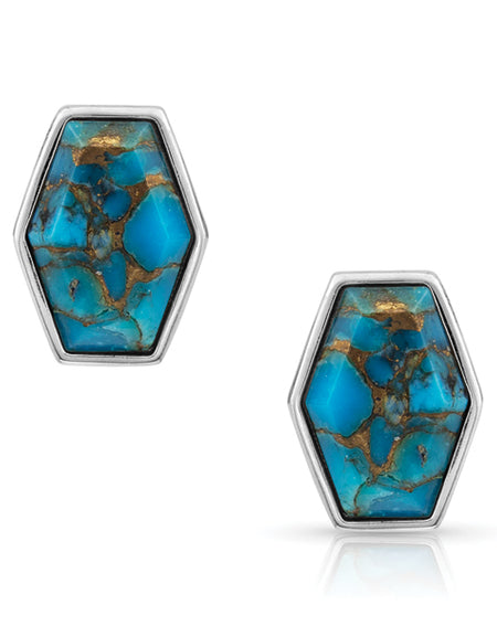 Fearless Turquoise Post Earrings