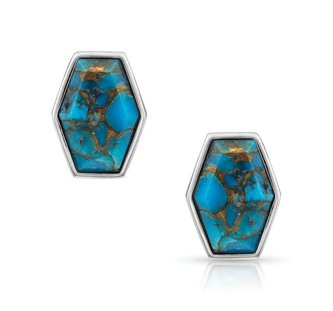 Fearless Turquoise Post Earrings